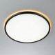 Потолочный светильник Citilux Norma CL749401