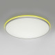 Потолочный светильник Citilux Norma LED RGB CL749600