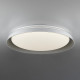 Потолочный светильник Citilux Mega CL752451G