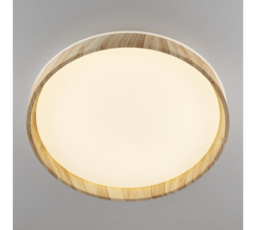 Потолочный светильник Citilux Enzo CL753452G