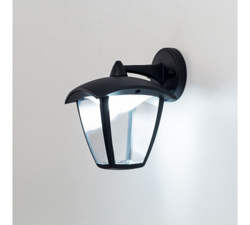 Уличный настенный светодиодный светильник Citilux CLU04W2
