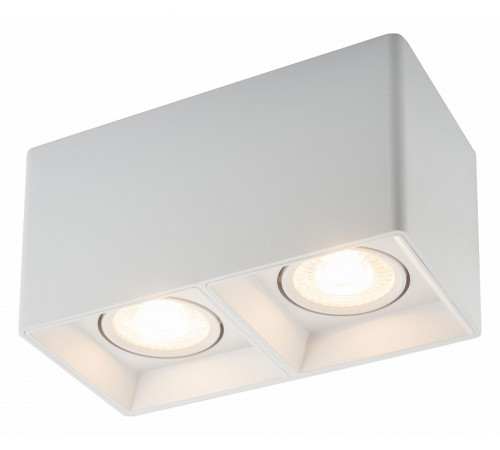 Накладной светильник Denkirs DK3030 DK3035-WH Накладной светильник Denkirs DK3030 DK3035-WH