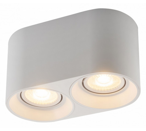 Накладной светильник Denkirs DK3040 DK3036-WH Накладной светильник Denkirs DK3040 DK3036-WH