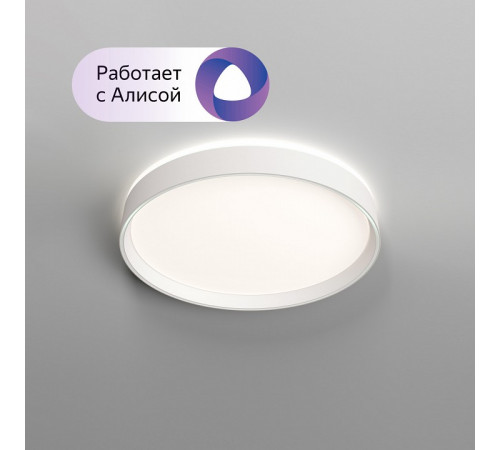 Потолочный светильник Denkirs Plato DK6510-WH Потолочный светильник Denkirs Plato DK6510-WH