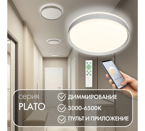 Потолочный светильник Denkirs Plato DK6511-WH/1