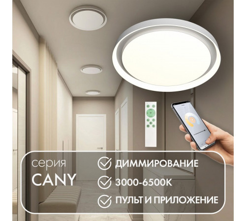 Потолочный светильник Denkirs Cany DK6516-WH Потолочный светильник Denkirs Cany DK6516-WH