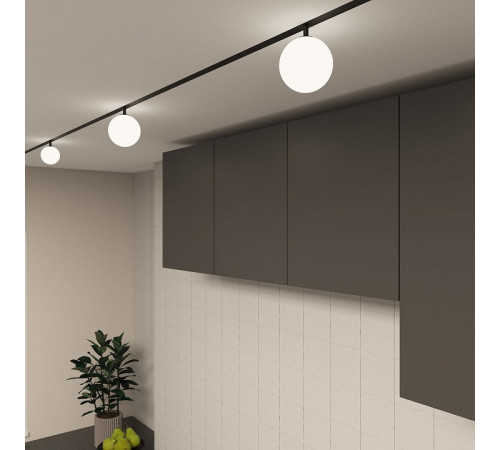 Трековый однофазный светильник Denkirs Smart Moon DK8050-BK Трековый однофазный светильник Denkirs Smart Moon DK8050-BK