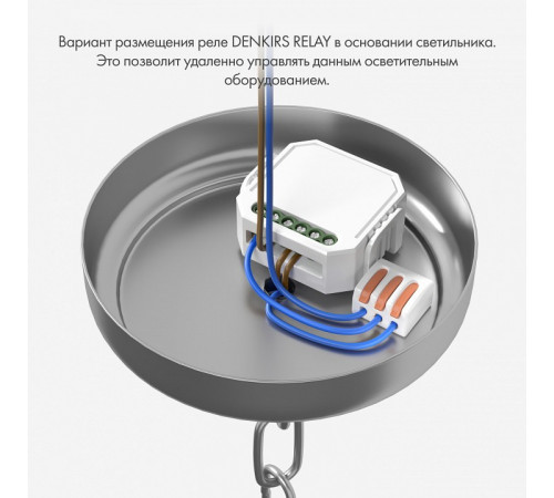 Двухканальное Wi-Fi реле-диммер Denkirs Relay RL1004-DM/1 Двухканальное Wi-Fi реле-диммер Denkirs Relay RL1004-DM/1