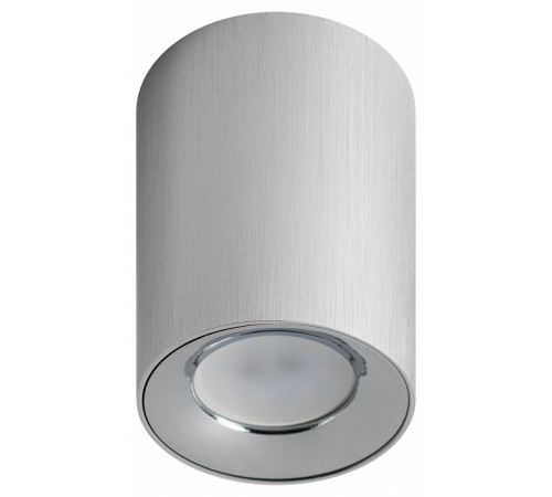Накладной светильник ЭРА OL1 GU10 SL/CH Б0041504