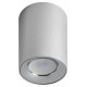Накладной светильник ЭРА OL1 GU10 SL/CH Б0041504