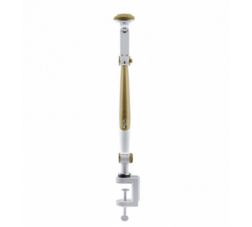 Настольная лампа Эра NLED-496-12W-G Б0052769 Настольная лампа Эра NLED-496-12W-G Б0052769