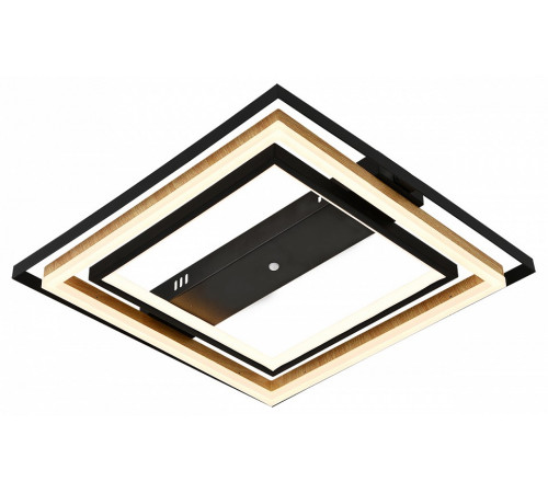 Потолочная люстра Escada Lagom 10249/2LED Потолочная люстра Escada Lagom 10249/2LED