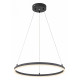Подвесной светильник Escada Void 10254/1LED Black APP