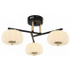 Потолочная люстра Escada Halma 10301/3LED