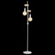 Торшер EVOLUCE BAGETTI SL1142.505.01