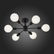 Потолочная люстра ST Luce Ano SL419.402.06