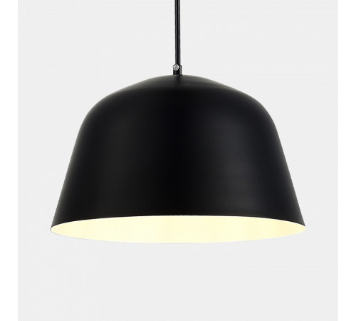 Подвесной светильник Evoluce Blank SLE1805-403-01