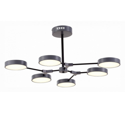 Потолочный светильник Evoluce Monta SLE6003-702-06