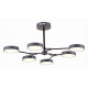 Потолочный светильник Evoluce Monta SLE6003-702-06