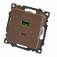 Розетка 2-местная USB + type C Stekker Катрин GLS10-7116-02 50056