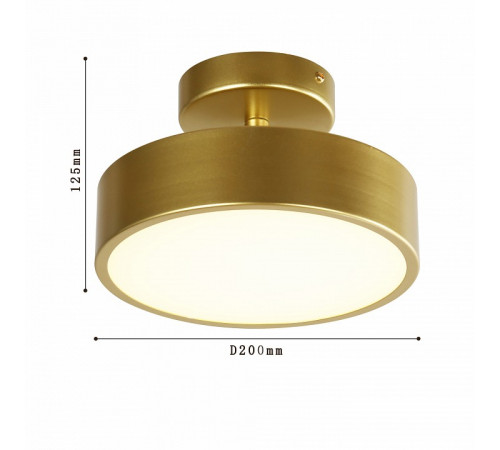 Потолочный светильник F-Promo Atma 3059-1P