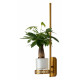 Настенный светильник Favourite Greenery 4050-1W