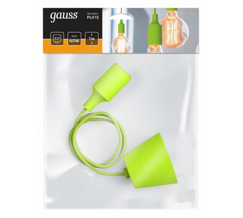 Подвесной светильник Gauss Decor PL015