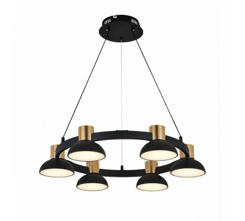 Подвесная люстра Indigo Traforo 11059/6P Black V000182L Подвесная люстра Indigo Traforo 11059/6P Black V000182L