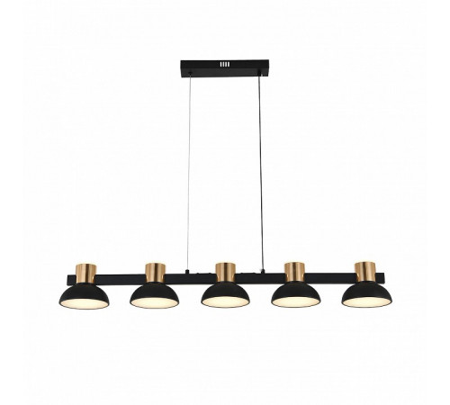 Подвесной светильник Indigo Traforo 11059/5PL Black V000184L Подвесной светильник Indigo Traforo 11059/5PL Black V000184L