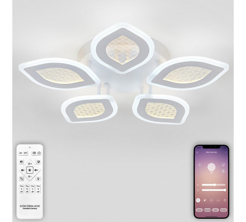 Потолочная люстра Natali Kovaltseva Led Light LED LAMPS 81167