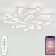 Потолочная светодиодная люстра Natali Kovaltseva Olimp LED LAMPS 81335-74067