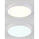 Потолочный светильник Natali Kovaltseva LED LAMPS 81111/5C