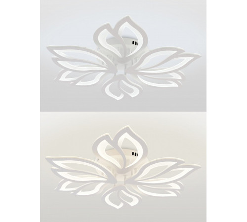 Потолочная люстра Natali Kovaltseva Fortuna LED LAMPS 81107/6C