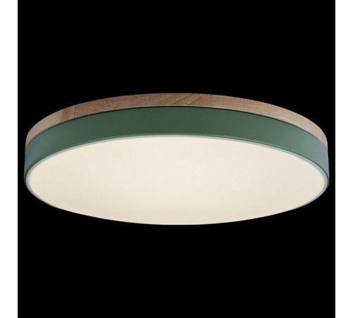 Потолочный светильник Loft IT AXEL 10001/36 Green Потолочный светильник Loft IT AXEL 10001/36 Green