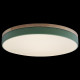 Потолочный светильник Loft IT AXEL 10001/36 Green