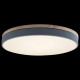 Потолочный светильник Loft IT AXEL 10001/36 Grey