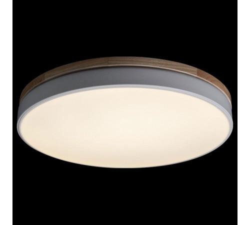 Потолочный светильник Loft IT AXEL 10001/36 White Потолочный светильник Loft IT AXEL 10001/36 White