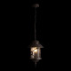 Уличный подвесной светильник Loft IT Prato 100021P