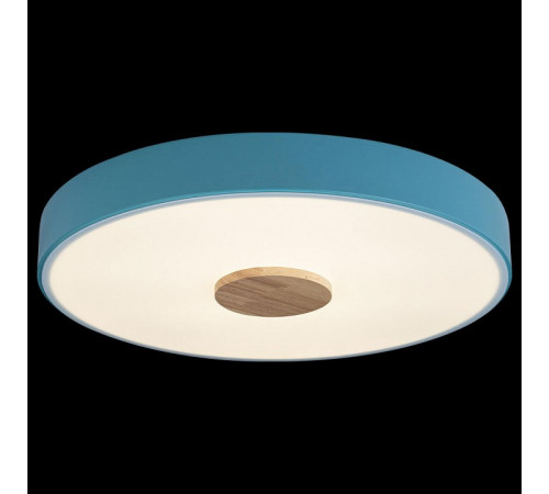 Потолочный светильник Loft IT AXEL 10003/24 Blue Потолочный светильник Loft IT AXEL 10003/24 Blue