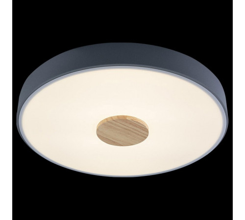 Потолочный светильник Loft IT AXEL 10003/24 Grey Потолочный светильник Loft IT AXEL 10003/24 Grey
