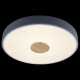 Потолочный светильник Loft IT AXEL 10003/24 Grey