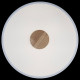 Потолочный светильник Loft IT AXEL 10003/24 White