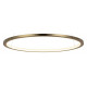 Подвесной светодиодный светильник Loft IT Ring 10014M
