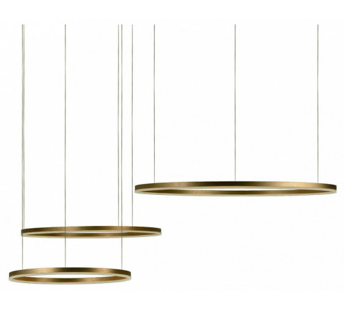 Подвесной светодиодный светильник Loft IT Ring 10017/3L
