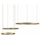 Подвесной светодиодный светильник Loft IT Ring 10017/3L
