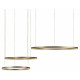 Подвесной светодиодный светильник Loft IT Ring 10017/3M