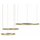 Подвесной светодиодный светильник Loft IT Ring 10017/3S