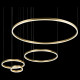 Подвесной светильник Loft IT Ring 10017/4M