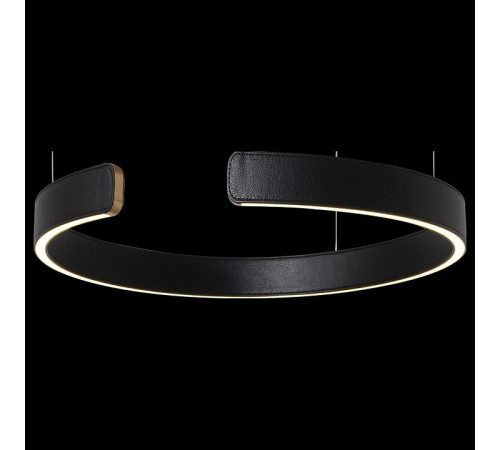 Подвесной светодиодный светильник Loft IT Ring 10025/400 Black