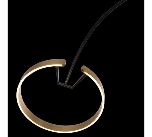 Торшер Loft IT RING 10027 Торшер Loft IT RING 10027